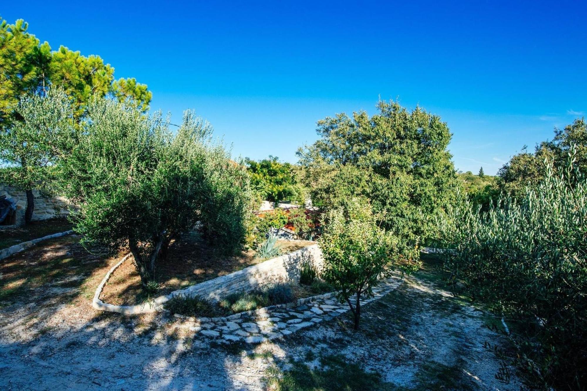 My Dalmatia - Holiday Home Korlat With Private Pool Benkovac Dış mekan fotoğraf