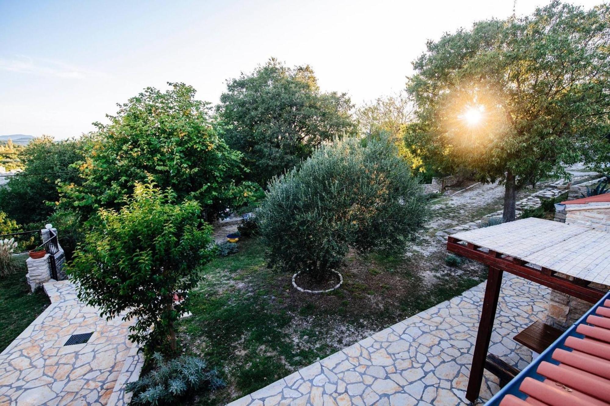 My Dalmatia - Holiday Home Korlat With Private Pool Benkovac Dış mekan fotoğraf
